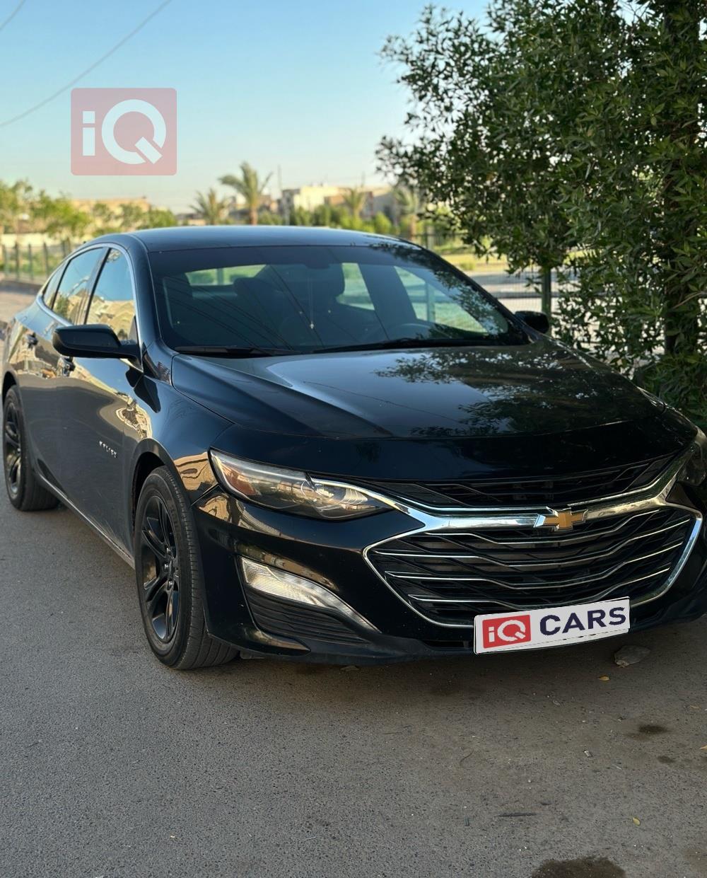 شيفروليه ماليبو